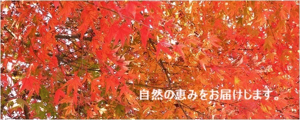 自然の恵みをお届けします。