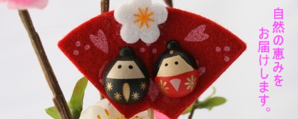 自然の恵みをお届けします。